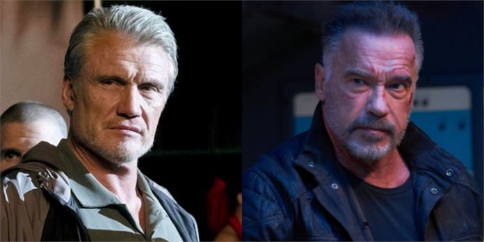 Dolph Lundgren compartilhou a melhor história de Arnold Schwarzenegger no aniversário de Terminator Star Dolph Lundgren compartilhou a melhor história de Arnold Schwarzenegger no aniversário de Terminator Star