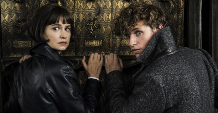 David Yates diretor do Animais Fantásticos e Onde Habitam (Fantastic Beasts) ainda espera dirigir 4 e 5 David Yates diretor do Animais Fantásticos e Onde Habitam (Fantastic Beasts) ainda espera dirigir 4 e 5