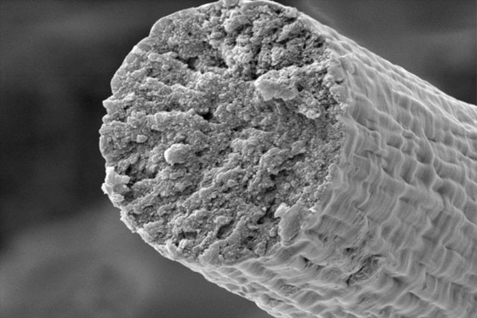 A biologia sintética permite que os micróbios construam fibras musculares que são mais resistentes do que o Kevlar A biologia sintética permite que os micróbios construam fibras musculares que são mais resistentes do que o Kevlar